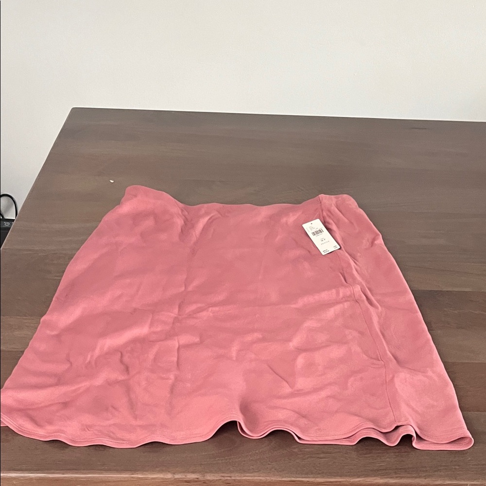 Anthropologie Rose A-Line Mini Skirt Sz MP NWT